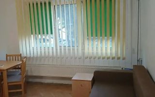 2 camere parter cu balcon Sagului - Poză 8