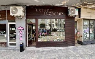 Investitie - Spatiu comercial ultracentral, inchiriat cu 900 Euro - Poză 3