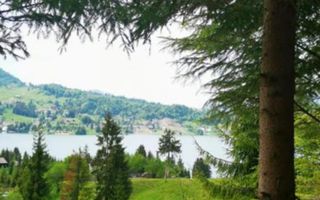 Teren intravilan 1100mp-panorama spre lac-Colibita - Poză 3