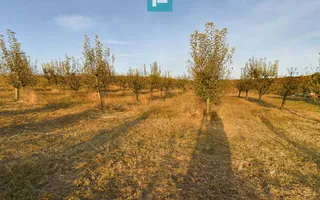 Pivnițele Birăuaș D.O.C Miniș - RATE FĂRĂ DOBÂNDĂ - Poză 36