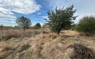 COMISION 0 | Teren intravilan | 945mp | Sacalaz Vest - Poză 6