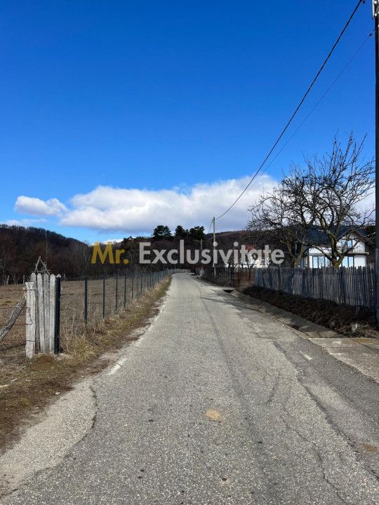 Teren Cicanesti Arges, la 10 KM de Transfagarasan - Comision 0% - Poză 4