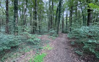 46644 mp teren in Padurea Baneasa proiect exclusivist - Poză 7