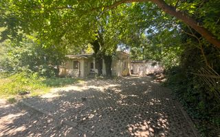 Apartament parter Piața Romană | 5 camere | Curte | 8 Locuri de Parcare - Poză 25