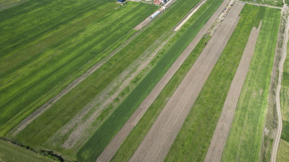 Loc de casa de 504 mp în Livada - Poză 16