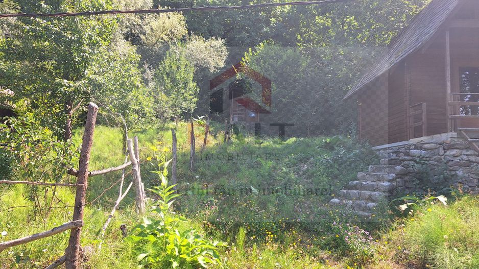 VANZARE ANSAMBLU CASUTE BRADULET ARGES - Poză 18