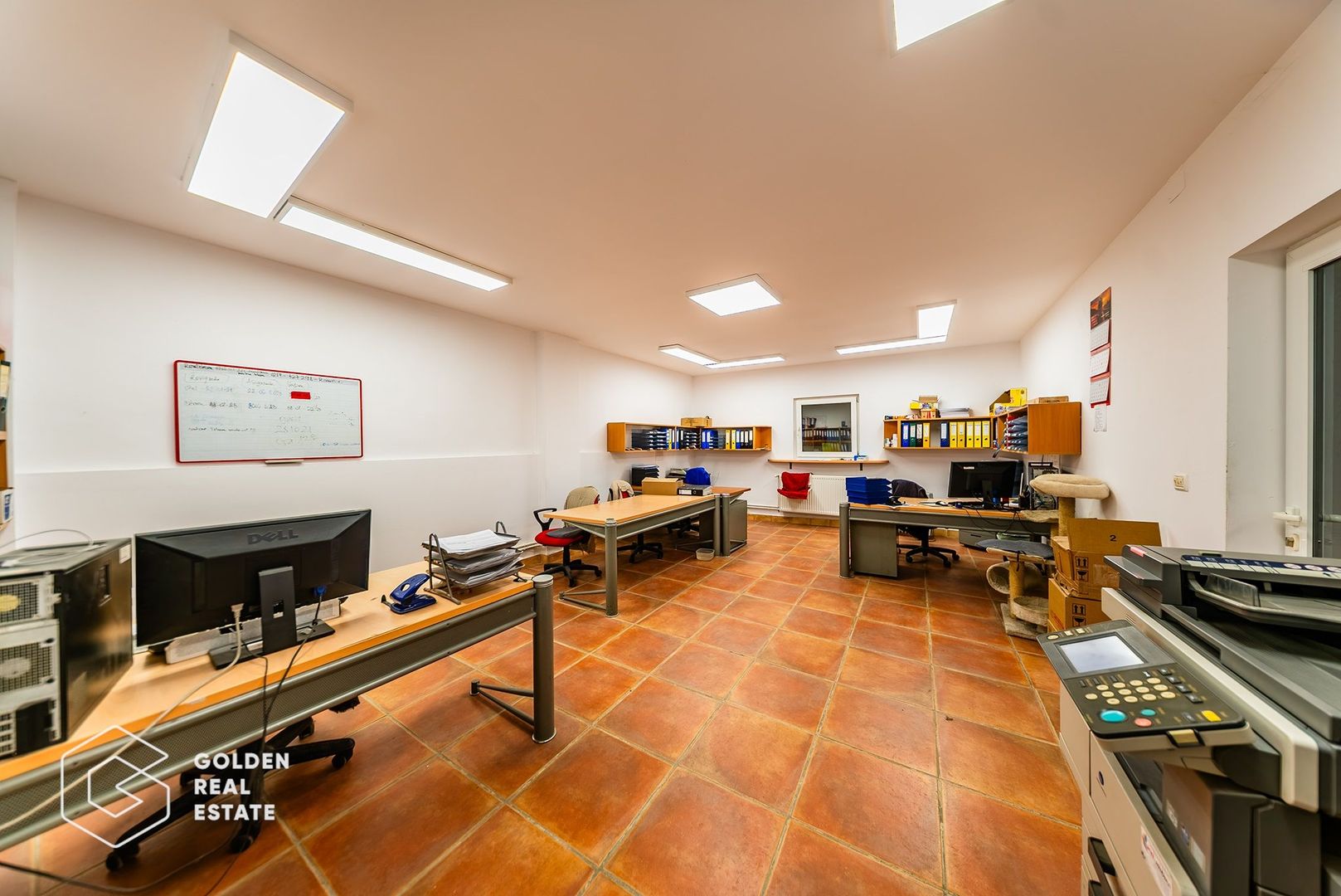 Hala industriala, Pecica, județul Arad - Poză 19