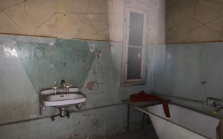 Apartament 2 camere, SU 100 mp, in Iosefin- Dragalina - Poză 7