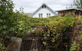 Casă de vânzare în Sfântu Ilie și teren 2000 mp - Poză 45