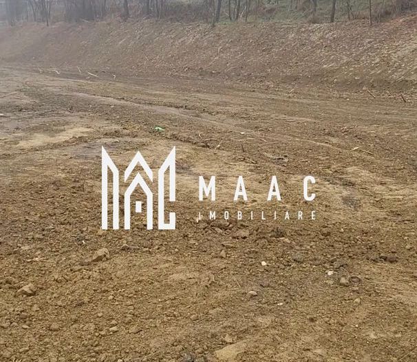 Teren Intravilan | 3.700 mp | Sura MAre - Poză 2