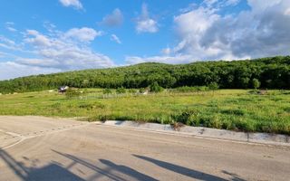 Teren intravilan de vanzare in Tomesti, Chicerea – 2 parcele cu utilitati in zona - Poză 4