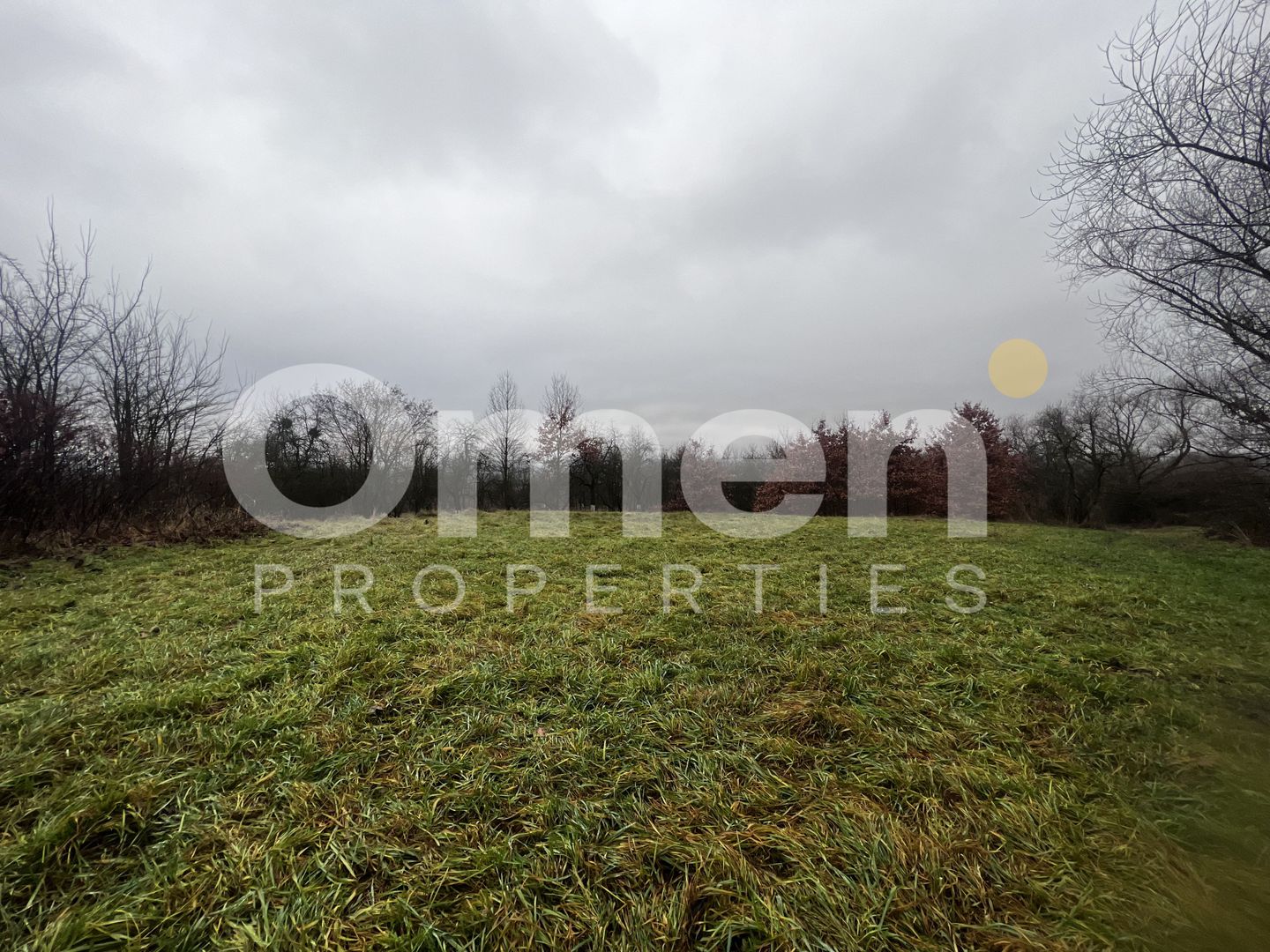 Teren intravilan | 30 ari | front stradal 50 m | investitie ideala | Mocira. - Poză 1