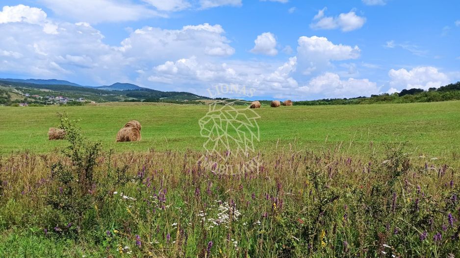 Parcele teren 4038 mp - Parcelabil - Zona Valea Stanelor - Poză 2