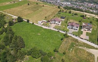 Teren intravilan 7800mp Wurzburg | Gura Humorului | Bucovina