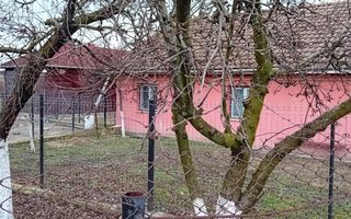 OFERTĂ in Băcia, Hunedoara ! Proprietate 2 case + Cabană + Livadă - Poză 21