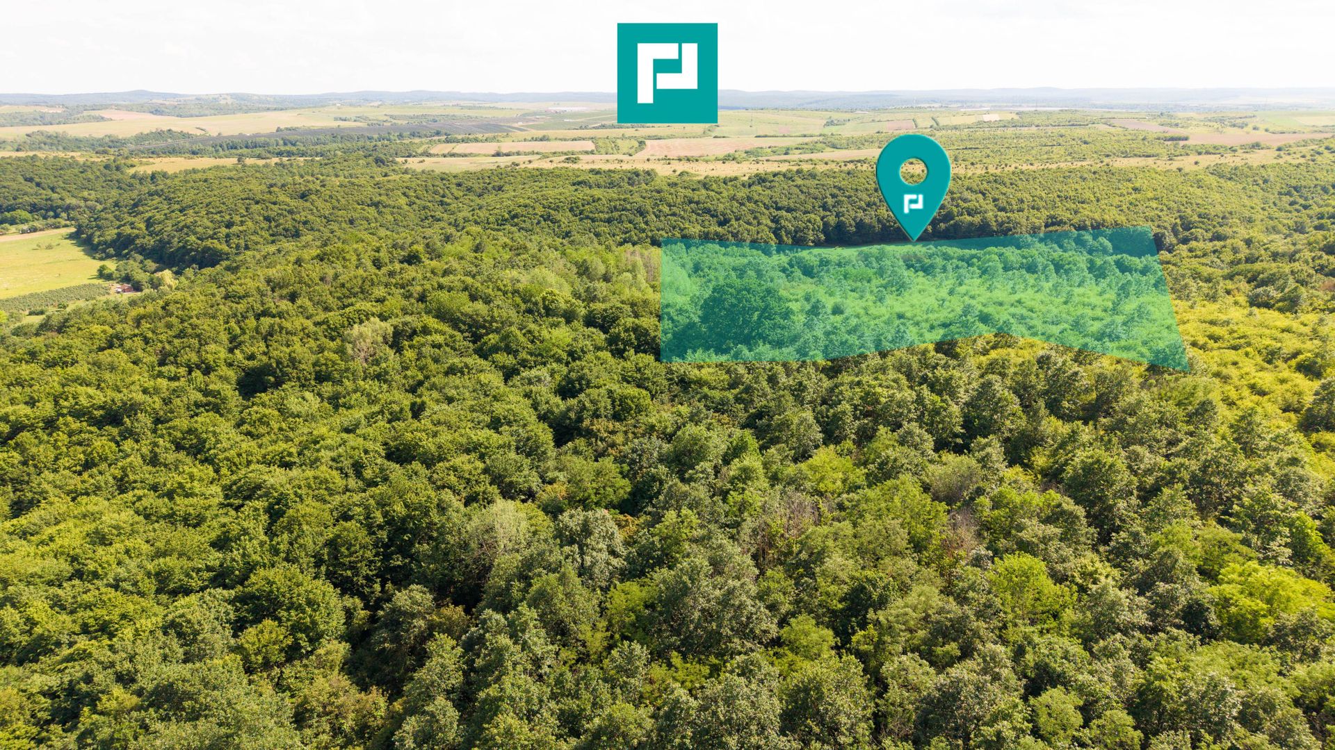 TEREN AGRICOL EXTRAVILAN  22.900 MP LIPOVA - Poză 1