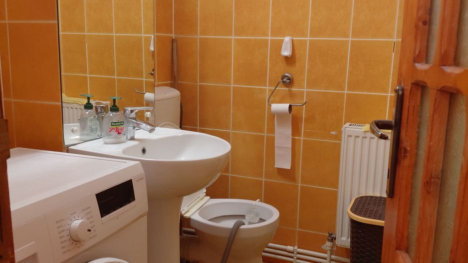 De inchiriat apartament 3 dec,Tig 1 mobilat si utilat, PS-uri - Poză 15