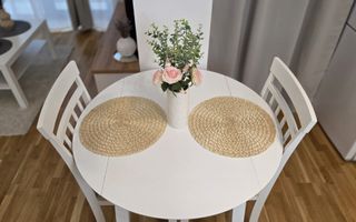 Inchiriere Studio Baneasa Bucuresti sector 1  curte privata, Aeroprort - Poză 5