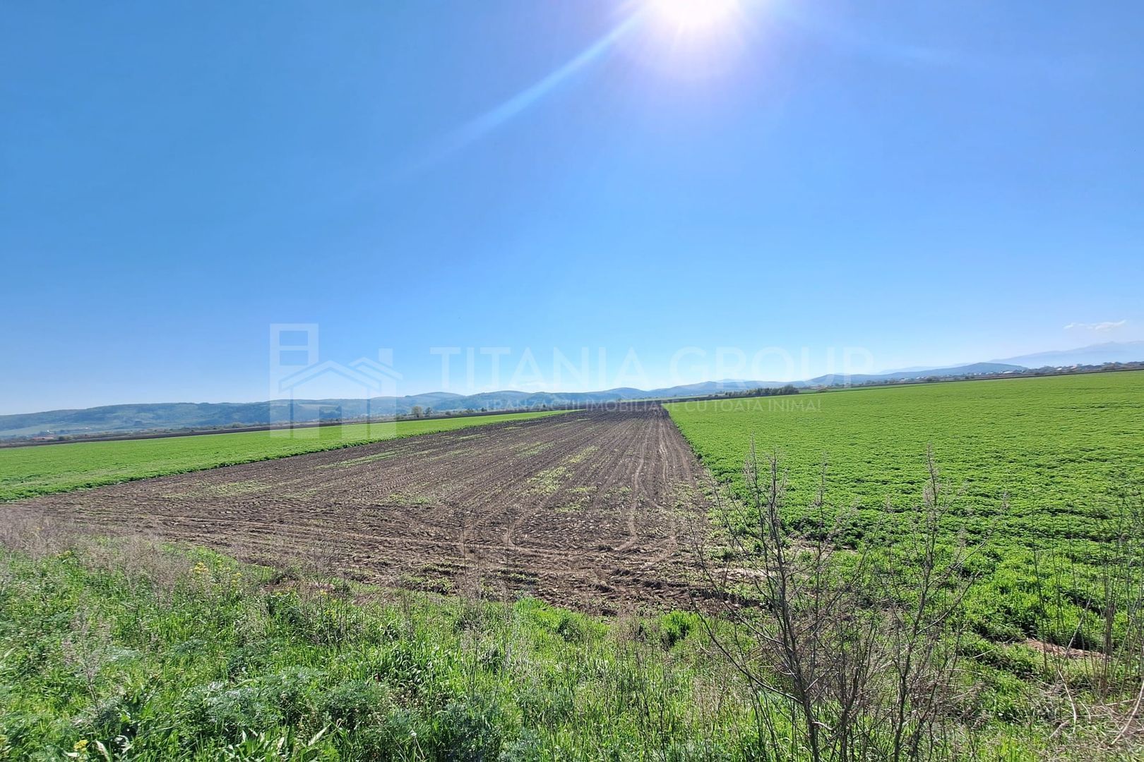 Teren extravilan, 8700 mp, pretabil agricultură sau investiție - Bod - Poză 6