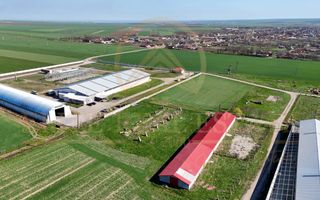 Tariverde - Ferma zootehnica functionala, 3 hectare teren intravilan! - Poză 2