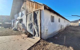 Ferma complet echipata de vanzare – zona Agnita, judetul Sibiu - Poză 7