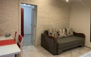 Apartament 2 camere zona Dacia - Poză 3