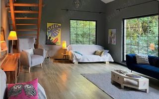 Vila unică de inchiriat ! Balteni | pe malul lacului Scrovistea - Poză 6