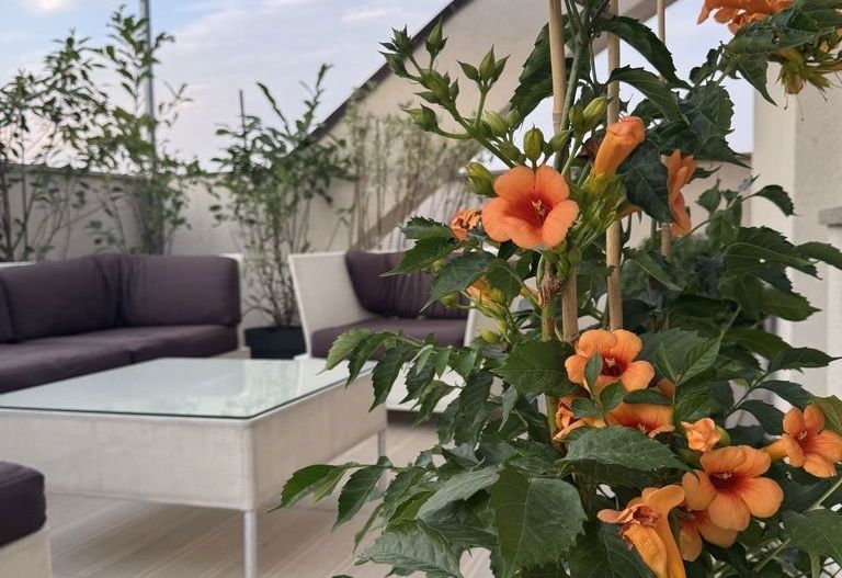 APARTAMENT  ELEGANT CU TERASA ZONA TIMPURI NOI - Poză 2