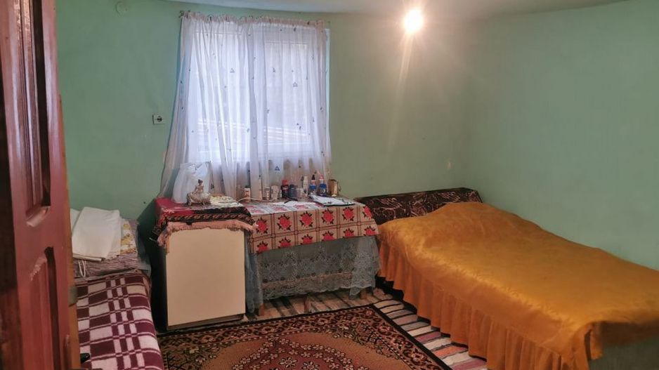 De vanzare casa in Argetoaia cu teren 7.000 mp - Poză 10