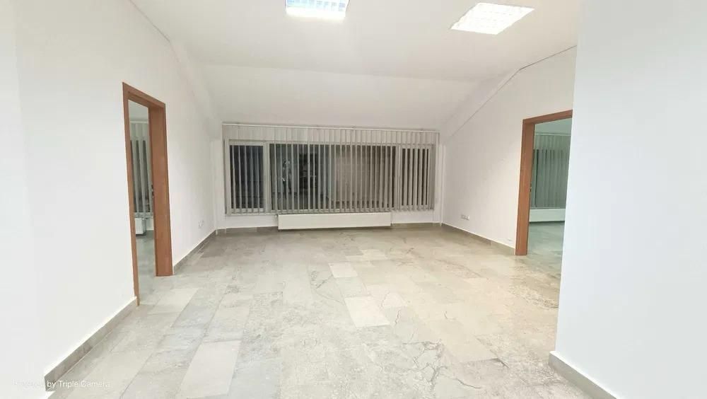Central - zona Tribunal - disponibil intre 30 mp  si 450 mp - Poză 2