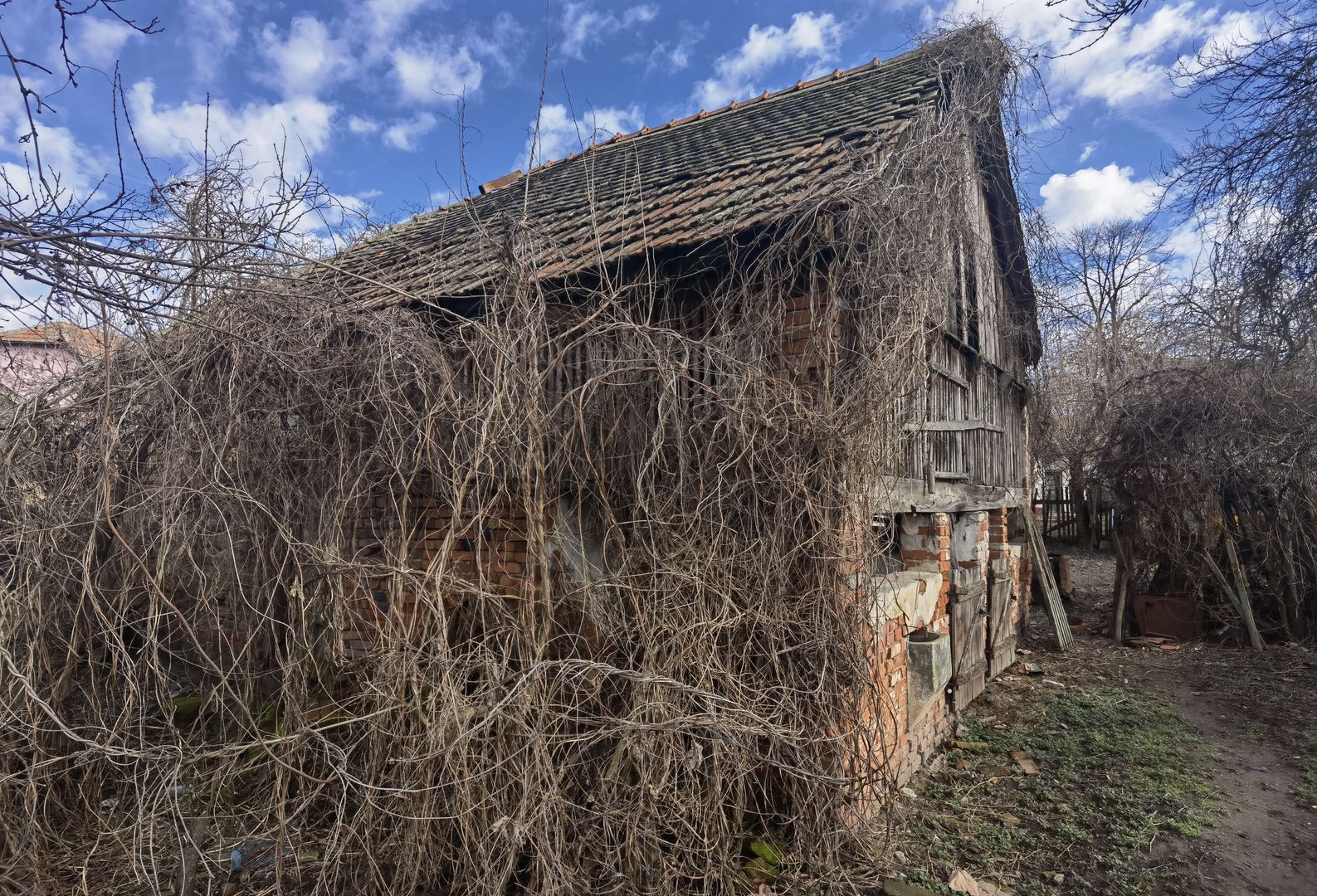 Casa cu teren generos- Recas - Poză 19