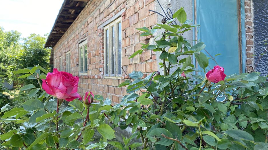 Vanzare "Casa Bunicilor" in satul Bucsani - Dambovita-Comision 0% - Poză 1