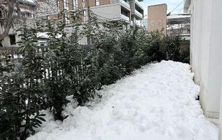 3 room apartment | Aviatorilor |Garden | Parking | Swimming pool - Poză 11