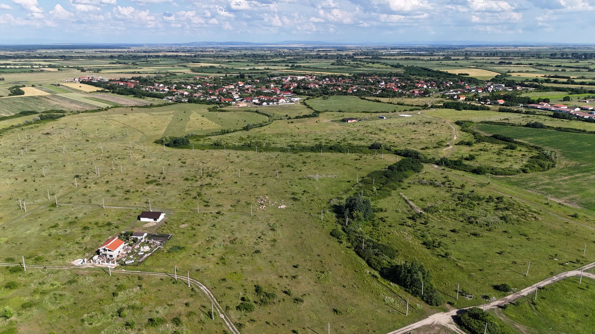 Terenuri zona  MOSNITA NOUA -  ALBINA . - Poză 30