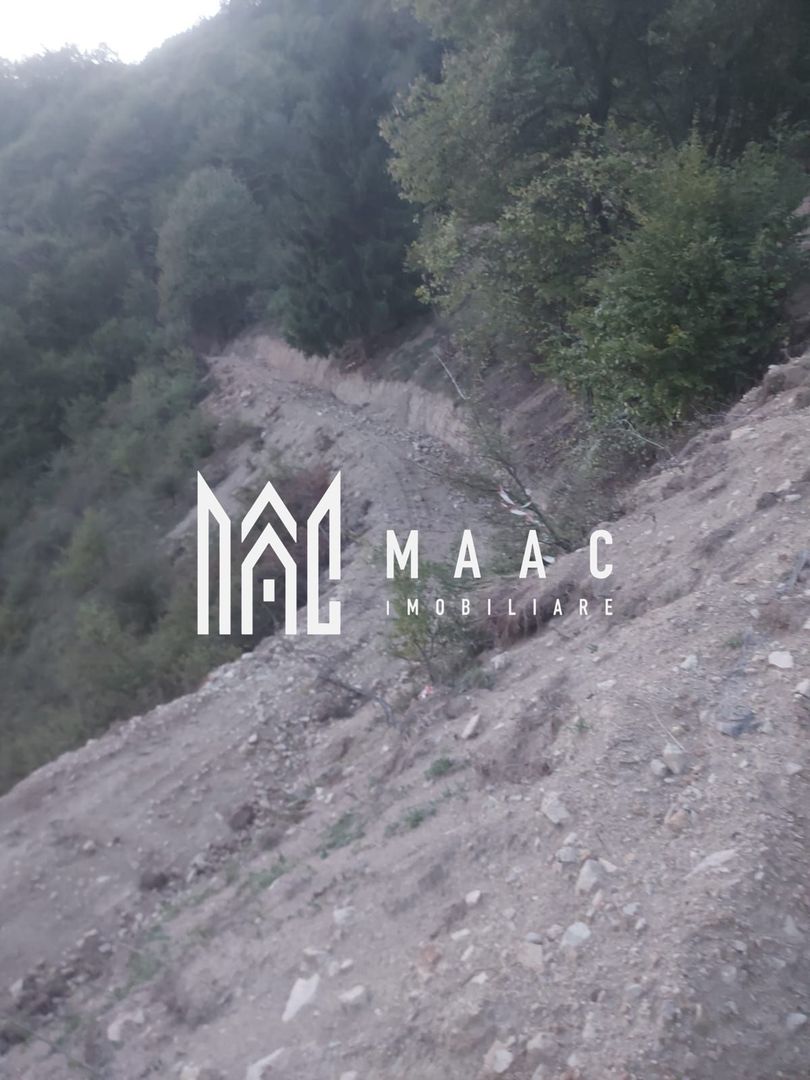 Super ofertă 35000 teren in Muntii Apuseni - Poză 16