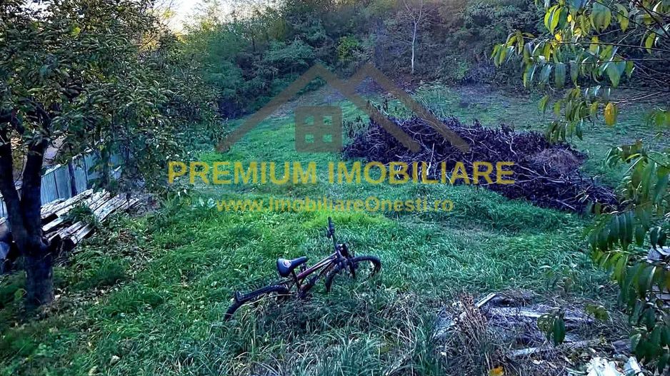 Casă individuală din lemn - Caiuti - Poză 6