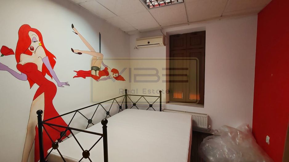 Independentei- Golia-  Casa de inchiriat - Office/ sediu firma - Poză 7