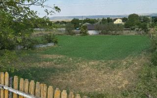 Teren intravilan,1500m p Probota Iași - Poză 1