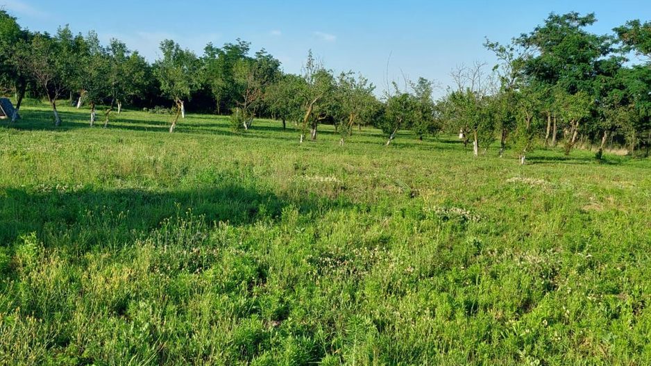 Vanzare casa deosebita, Suseni, Arges - Poză 14