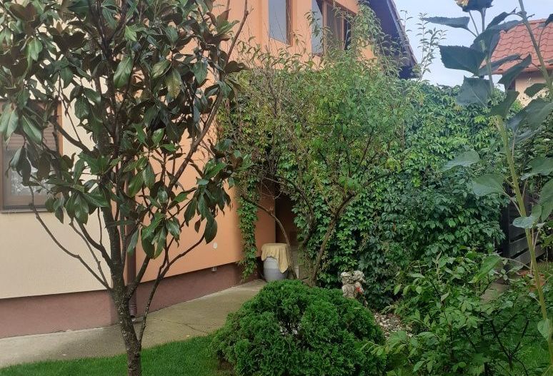 BRASADAS vinde casa cu 6 camere si teren 1200mp în Amati. - Poză 3