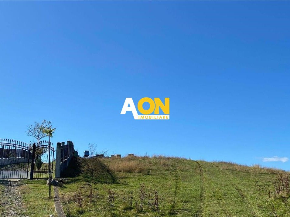 Teren intravilan de vanzare, 7600mp, 30ml deschidere - Poză 2