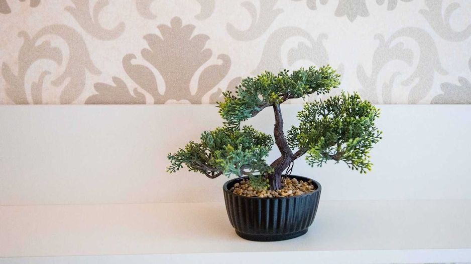 Apartament superb, 2 camere, Piața Unirii - Poză 6