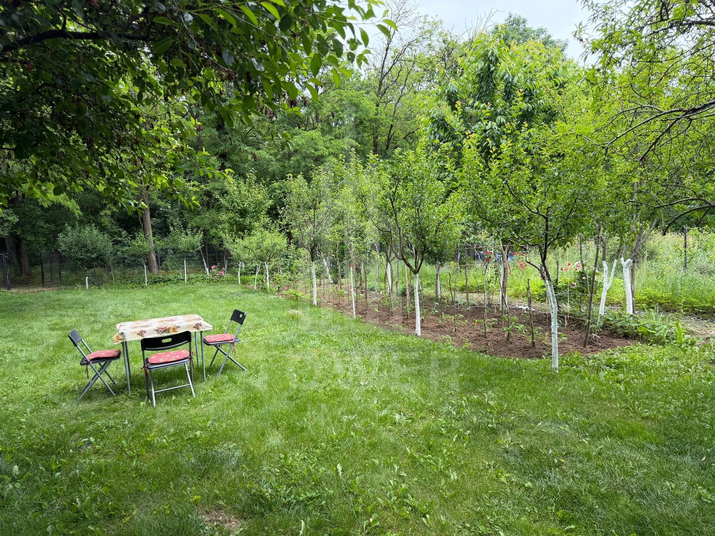 OCAZIE RARĂ - Teren cu cabană de vânzare lângă Lacurile Naturale - Ocna Sibiului - Poză 7