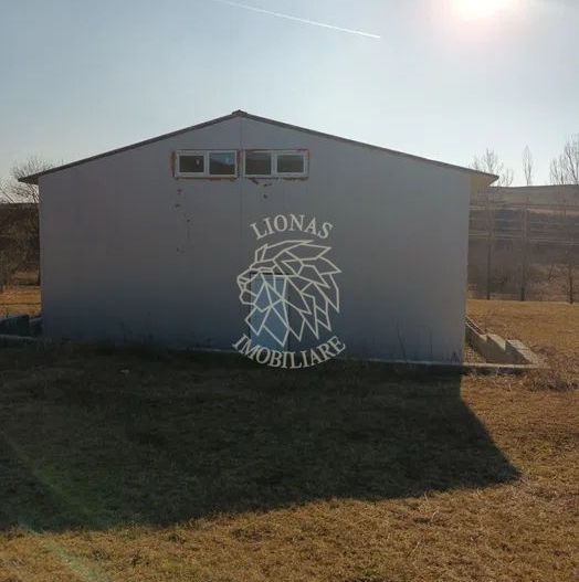 Teren 7500 mp + Hala metalica-ideal investitie-Brateni  EXCLUSIV - Poză 5