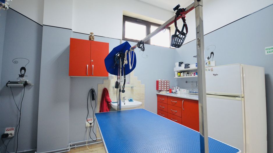 Spatiu Comercial Prelungirea Ghencea | Vizavi Dimri Residence - Poză 7