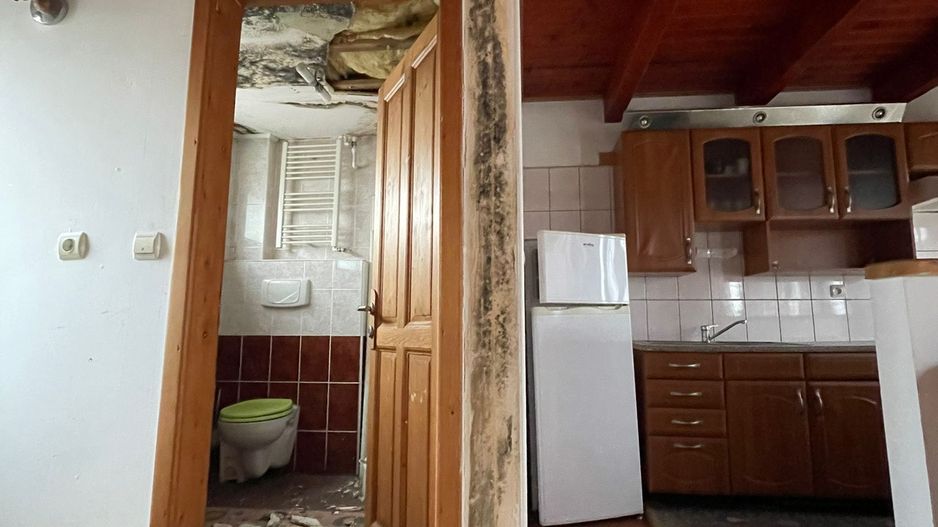 Casa Beius - Poză 19