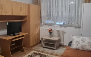 Chirie, garsonieră, mobilată, utilată, parter Blv Dacia. 250 Euro/lună - Poză 5