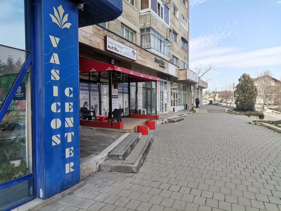 Inchiriere spatiu comercial, stradal, Craiovei - Poză 5