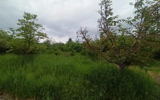 Teren 63 ari, Victoriei zona STO - Poză 3