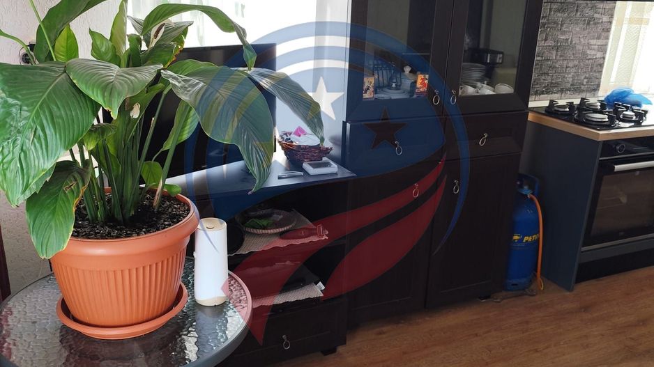 Casa cocheta la 30 minute de Craiova- Cornița Dolj - Poză 8